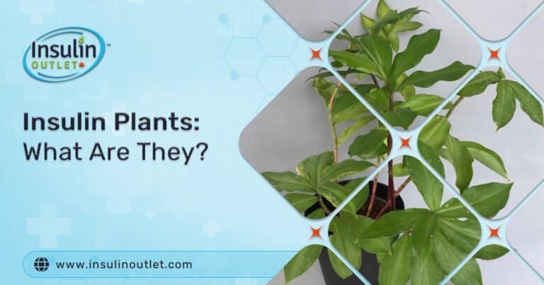 Insulin Plants What Are They