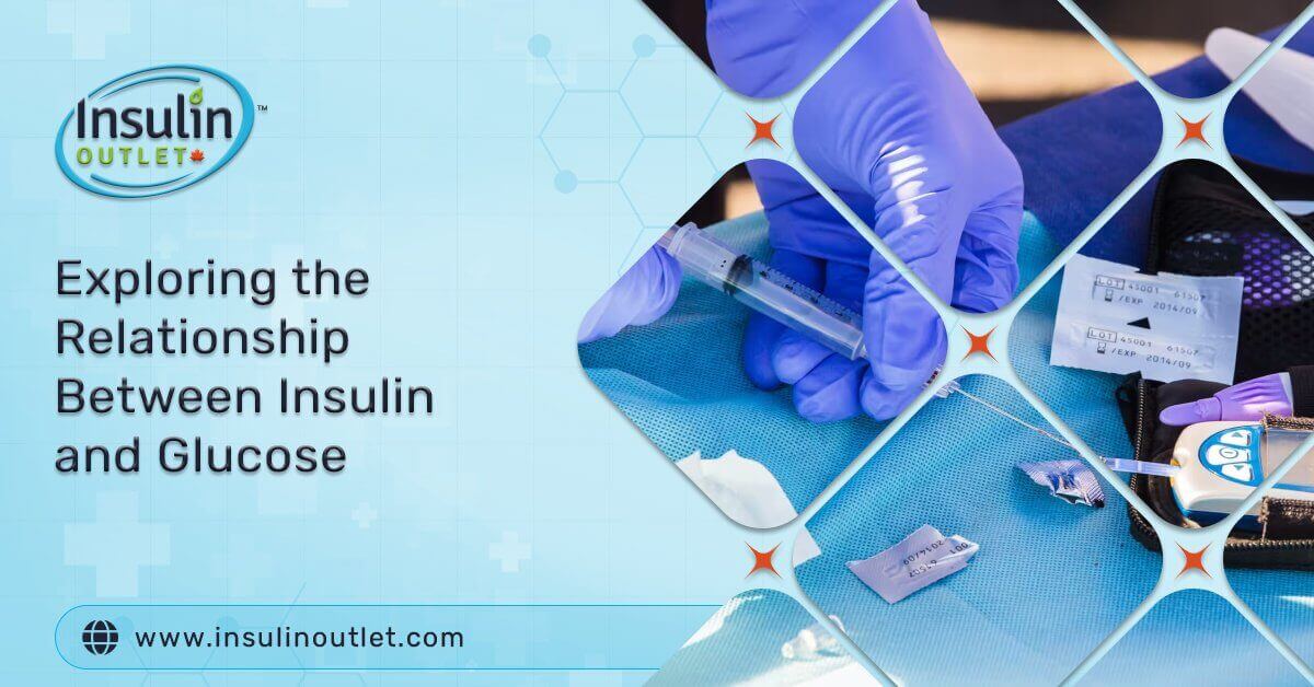 Exploring the Relationship Between Insulin and Glucose